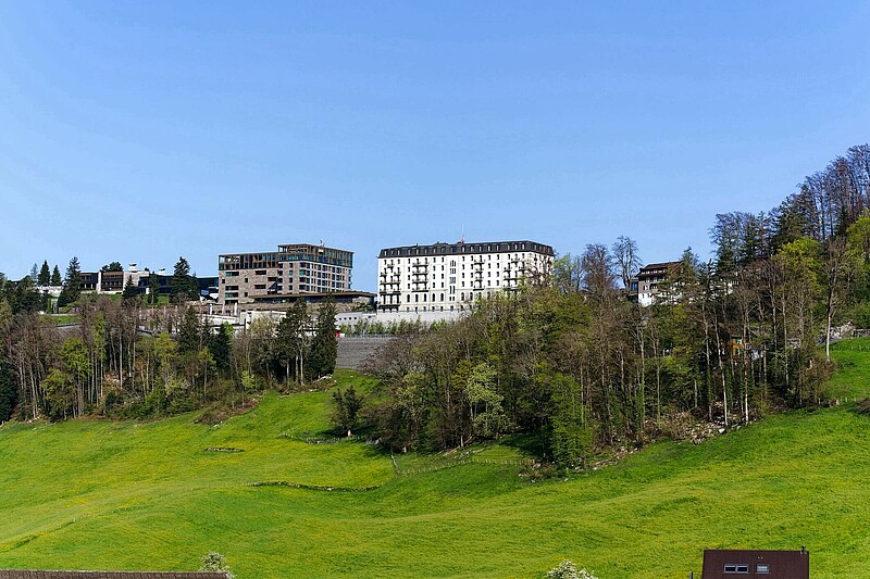 Scenic view of rural landscape with woodland and luxury hotels on top of Swiss B√ºrgenstock mountain.