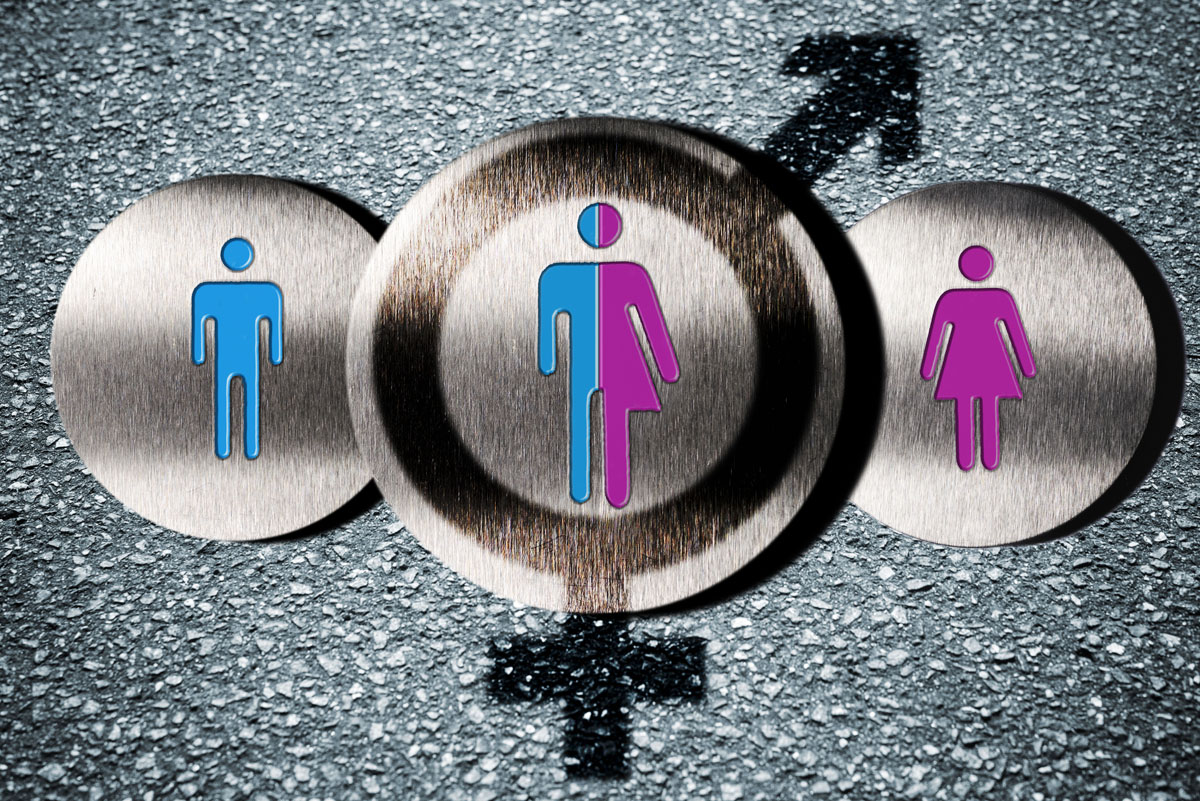 Gender, Trans-gender, Woman, between, blue, female, icon, identity, intersex, label, male, man, person, personal right, personality, pink, sex, sexes, signs, symbol, the third, third gender